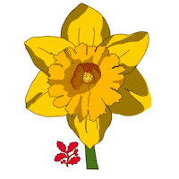 Flower Wales Sticker by National Trust Cymru