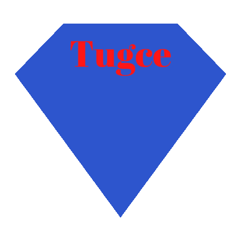 tugceaydin10 giphyupload aydin tugce tugceaydin Sticker