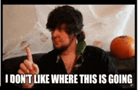 What The Hell Wtf GIF