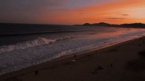 ZachBrandon giphyupload beach vibes ocean GIF