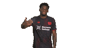 Bayer Leverkusen Sticker by Bundesliga