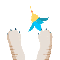 Cat Love Sticker by Solla Mascotas