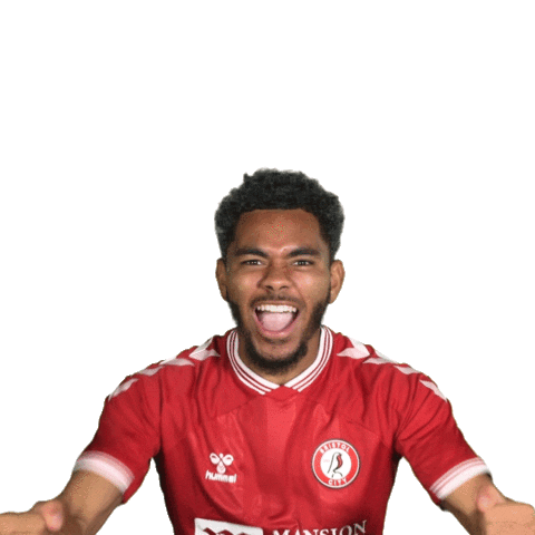 Celebrate Come On Sticker by Bristol City FC