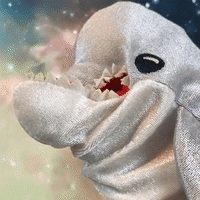 adolfeen delfin roxtar adolfeen GIF