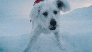 Dc Superman GIF by Warner Bros. Pictures