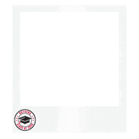 Scarlet Knights Picture Sticker by Rutgers University