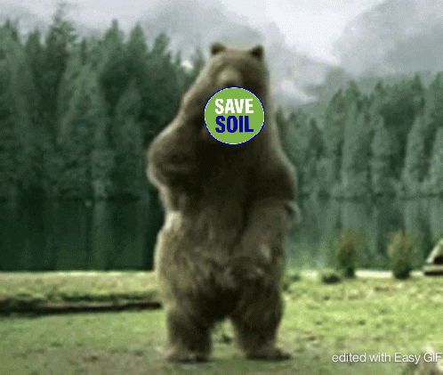 Bear GIF by Save Soil