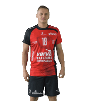 Volleyball Ok Sticker by VERVA Warszawa ORLEN Paliwa