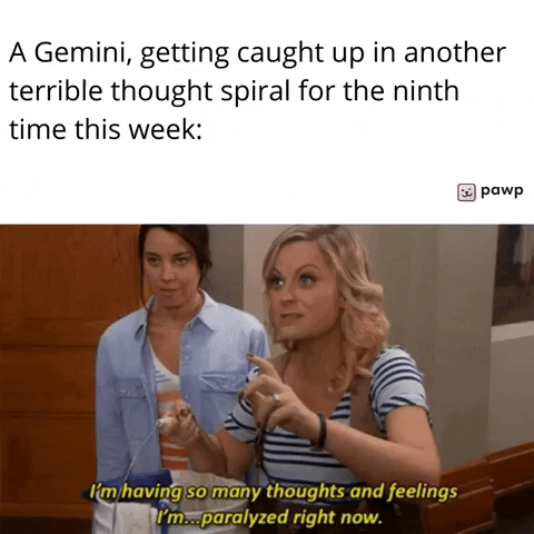 mypawp giphyupload GIF