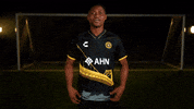 Soccer GIF by Pittsburgh Riverhounds SC