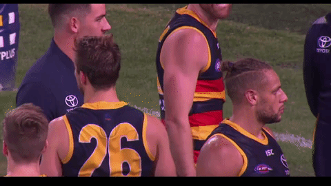 afl GIF by Adelaide Crows