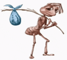 Ant GIF