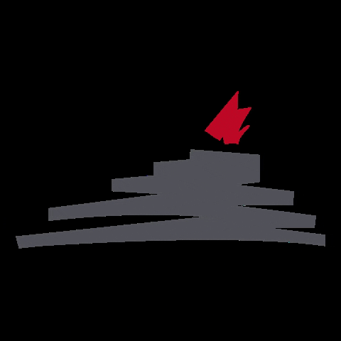 sciarapistacchio giphygifmaker pistacchio sciaralovers sciarapistacchio GIF