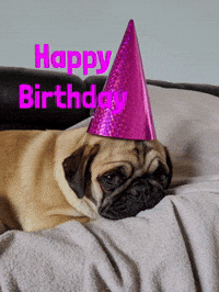 Happy Birthday Mops GIF