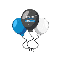 Sticker by Esig Software