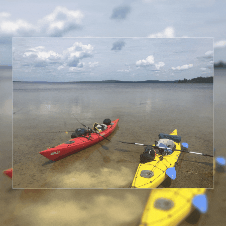 matthewcookmaine giphygifmaker giphyattribution GIF