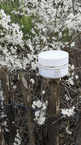 Dogwearstore giphygifmaker skincare natural organic GIF