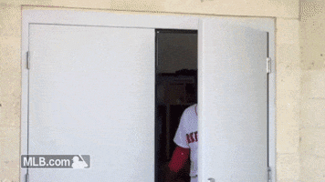 player r GIF by MLB