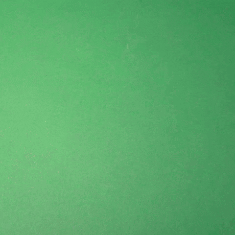 Stop Motion Firecrackers GIF by Evan Hilton