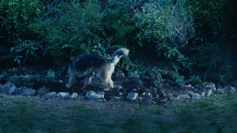 GIF by NETFLIX