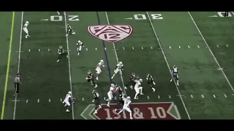 FantasyJimbo giphygifmaker GIF