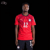 Fifa World Cup Egypt GIF by Respective