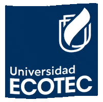 Flag University GIF by ECOTEC Alumni