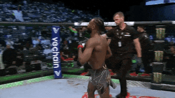 Mixed Martial Arts Sport GIF by UFC