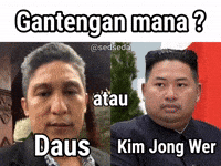 Daus GIF
