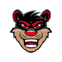 University Of Cincinnati Sticker by uofcincy