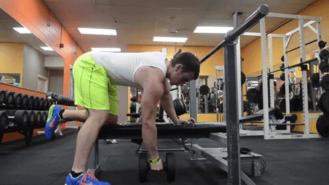 winestain giphygifmaker GIF