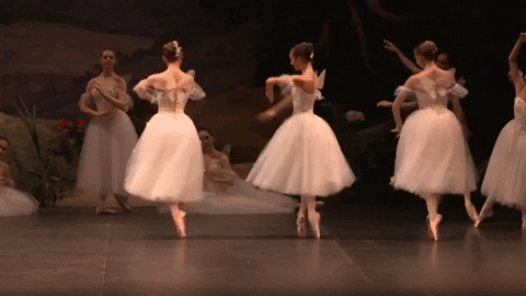 Enbsylphide GIF by English National Ballet