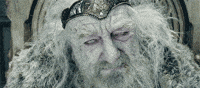 Lord Of The Rings GIF by Maudit