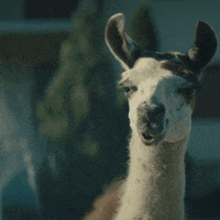 Drama Staring GIF by Bosch