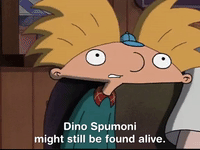 hey arnold nicksplat GIF