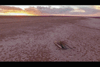 #globalwarning GIF by Univision Noticias