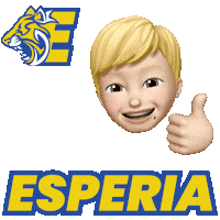 Volley Cremona Sticker by Esperia