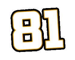 Sport Hockey Sticker