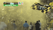 usl soccer celebration goal fans GIF