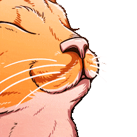 Cat Chris Sticker