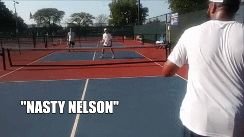 pickleballmax giphygifmaker GIF