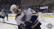 Celebrate Ice Hockey GIF by NHL