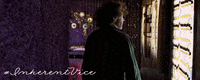 joaquin phoenix art GIF by Inherent Vice