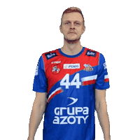 Handball Pgnigsuperliga Sticker by KS Azoty-Puławy S.A.
