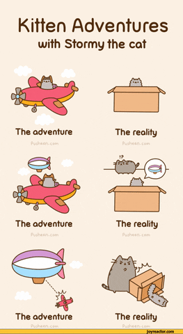 kitten GIF by Pusheen