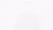 nathan fillion mugshot GIF by ABC Network