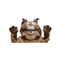 Vibes Bobcats Sticker by Bates College Alumni