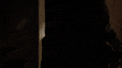 fox tv stiletto GIF by Lethal Weapon