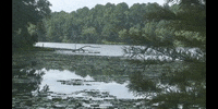 Earth Science Education GIF by DIIMSA Stock