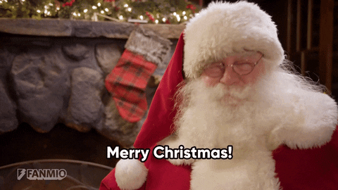 Merry Christmas GIF by Fanmio